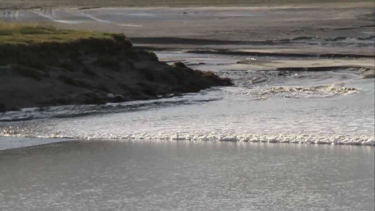A la vitesse d'un cheval au galop