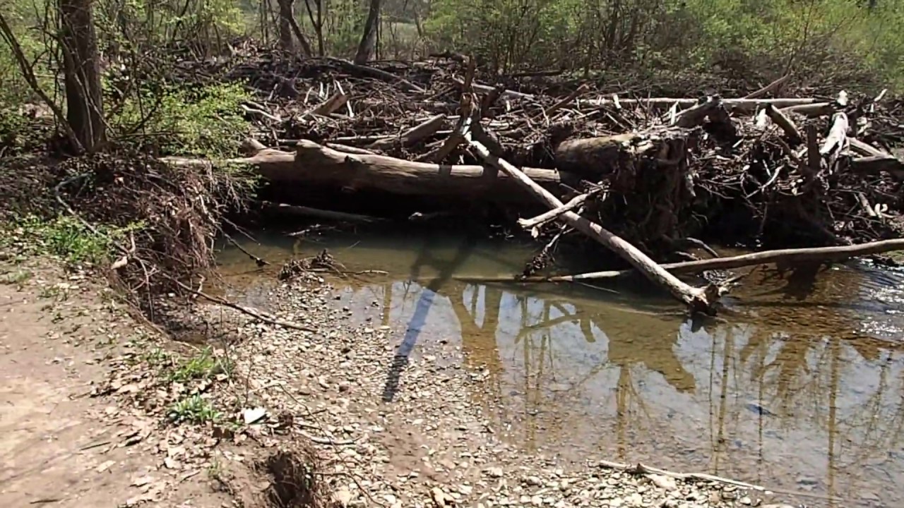 What Floods Do To Streams