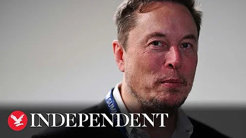 Elon Musk says AI is potentially 'most pressing' existential risk to humans