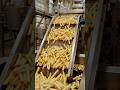 inside the factory || How McDonalds Fries Are Made #documentary #factoryprocess #foodfactory