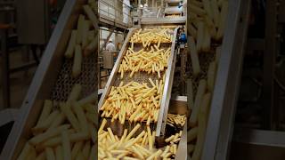inside the factory || How McDonalds Fries Are Made #documentary #factoryprocess #foodfactory