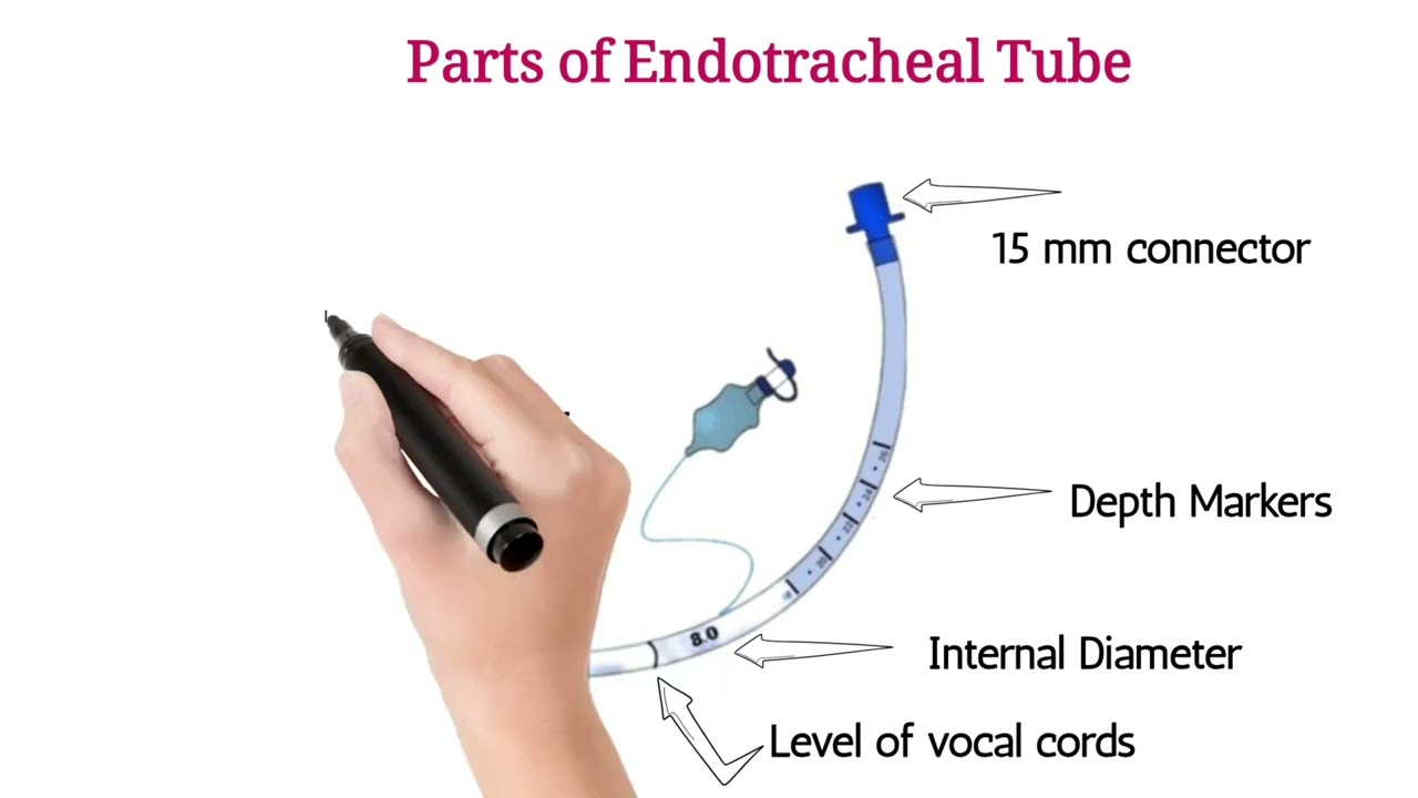 Parts Of Endotracheal Tube
