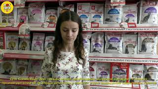 Уход за кошкой в период линьки1 Уход за кошкой в период линьки1