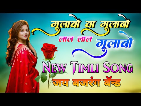 ग ल ब व ग ल ब ल ल ल ल ग ल ब Super Hit Timli जय बजर ग ब न ड 2025