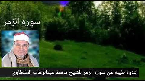 سوره الزمر للشيخ محمد عبدالوهاب الطنطاوى رحمه الله