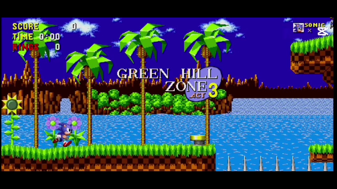 Sonic The Hedgehog From SEGA!!!!