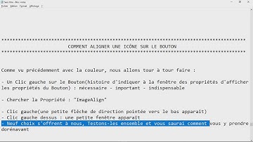 Visual_Basic 32 COMMENT ALIGNER (POSITIONNER) une ICÔNE dans un BOUTON VB.NET