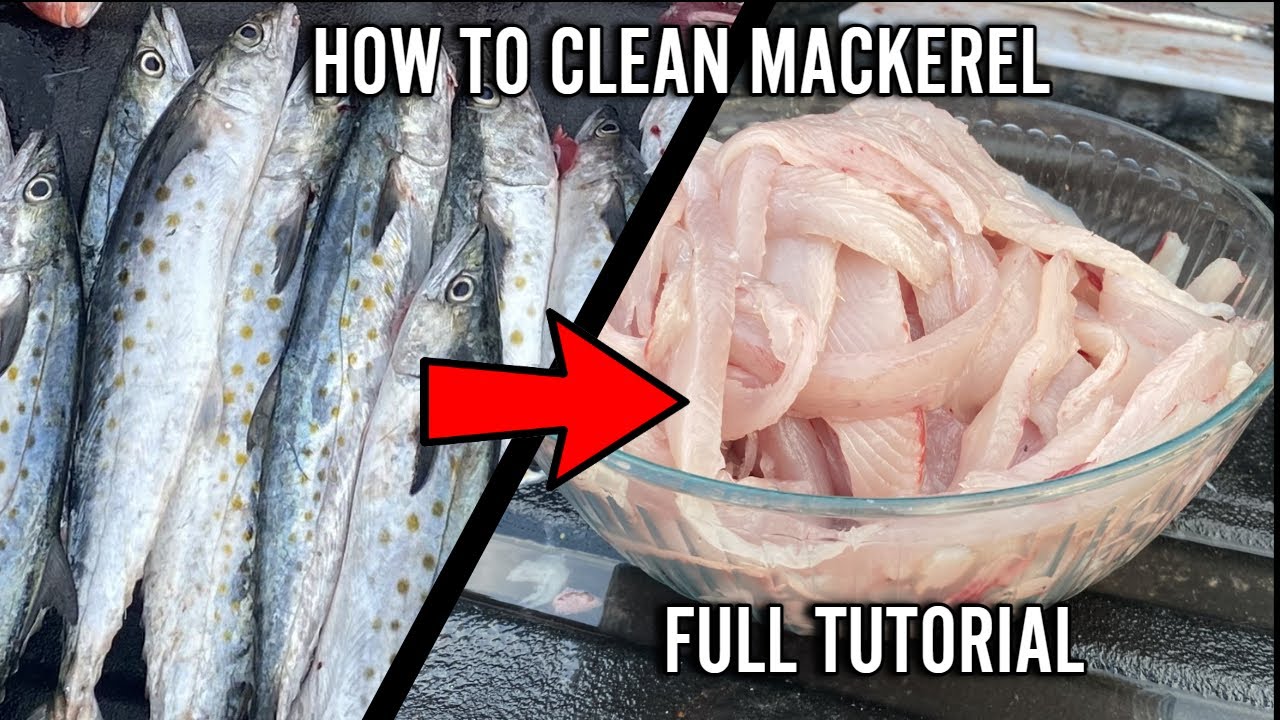 The BEST Way to Fillet Spanish Mackerel - No Bones!