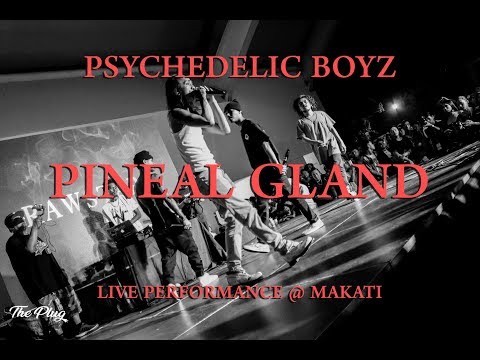 PSYCHEDELIC BOYZ  - PINEAL GLAND (LIVE PERFORMANCE @ MAKATI)