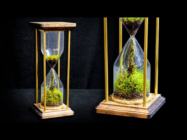 Moss Hourglass Terrarium