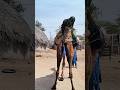 جمل واقف ومشهد غريب فتاة تمسك بالبالون