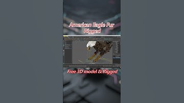 American Eagle #shorts #cgi #character #animation  #eagles