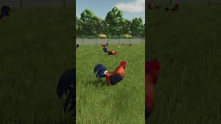 FS25 FAQ: Rooster #FarmingSimulator25 #Chickens