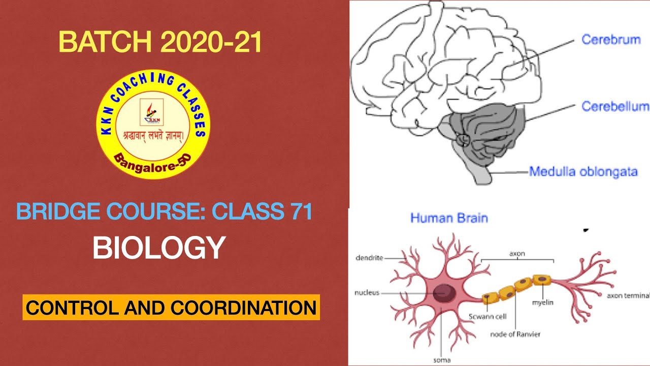 bridge course: class 71