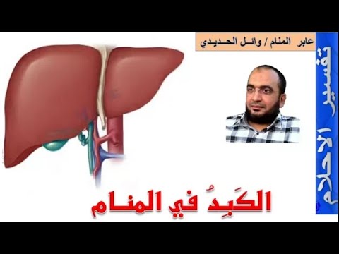 الكبد في المنام الكبد في الحلم للمفسر وائل الحديدي