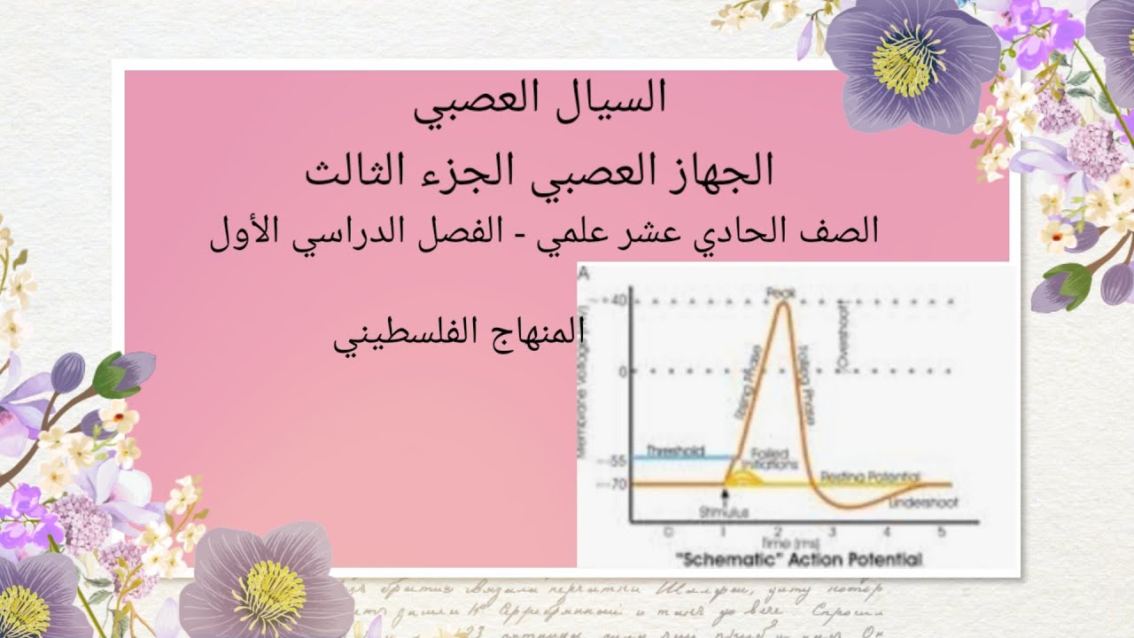 #السيال العصبي#الجهاز العصبي الجزء الثالث#حادي عشر علمي-المنهاج الفلسطيني الجديد#