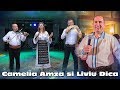 ▶️ LIVIU DICA SI CAMELIA AMZA 💙 LIVE 2020 SHOW LA NUNTA 🥇 SUPER COLAJ DE JOC SI VOIE BUNA