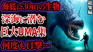 【総集編】【ゆっくり解説】深海で目撃された超巨大UMA集【UMA・未確認生物】