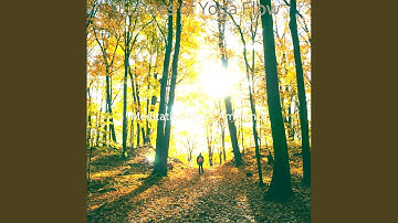 Delightful Backdrops for Yoga Flow