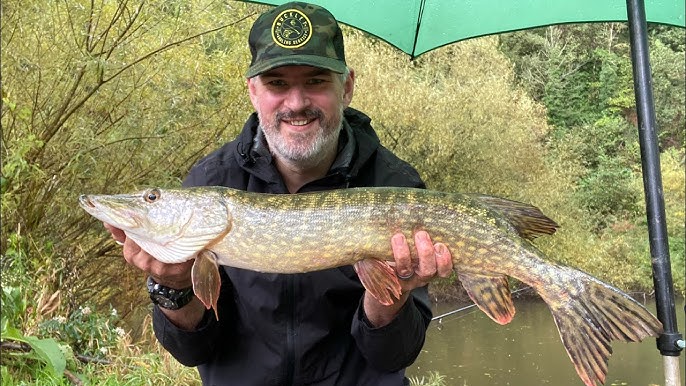 A CHALLENGE ON THE CUT – PIKE fishing on the Staffs/Worcs Canal