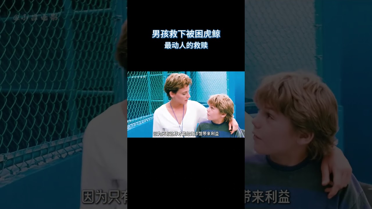 男孩救下被困虎鲸,最动人的救赎 #电影 #解说 #电影解說 #影视解说 #电影名场面
