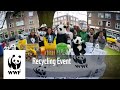 Recycling event  wwf expat team