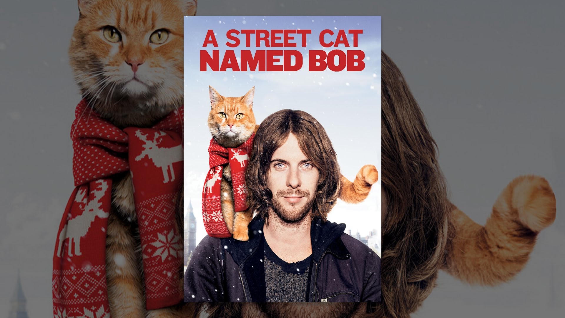 ボブネコです。 A Street Cat Named Bob - YouTube