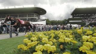 Gran Premio Internacional Carlos Pellegrini 2014