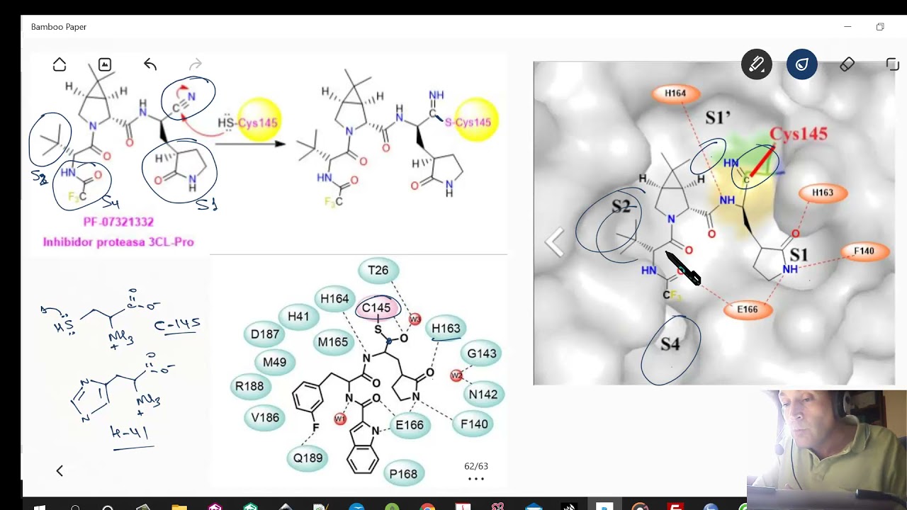 ¡LLEGAN LOS ANTIVIRALES DE PFIZER!  PF-07321332 y PF-07304814