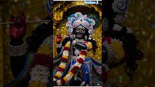 My Shyam Murali Wale has touched me at my feet 🙏#devotion #shyam #bhajan #shorts #love #yt #song