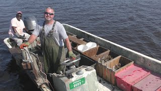 Crabbing with Crabby on St Mary's River, Georgia