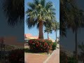 Seagull Beach Resort #egypt#redsea #hurghada #hurghadaegypt