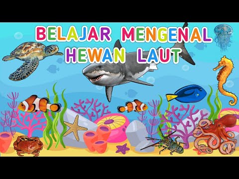 Belajar mengenal nama Hewan Laut | Nama nama Ikan | nama dan suara hewan laut