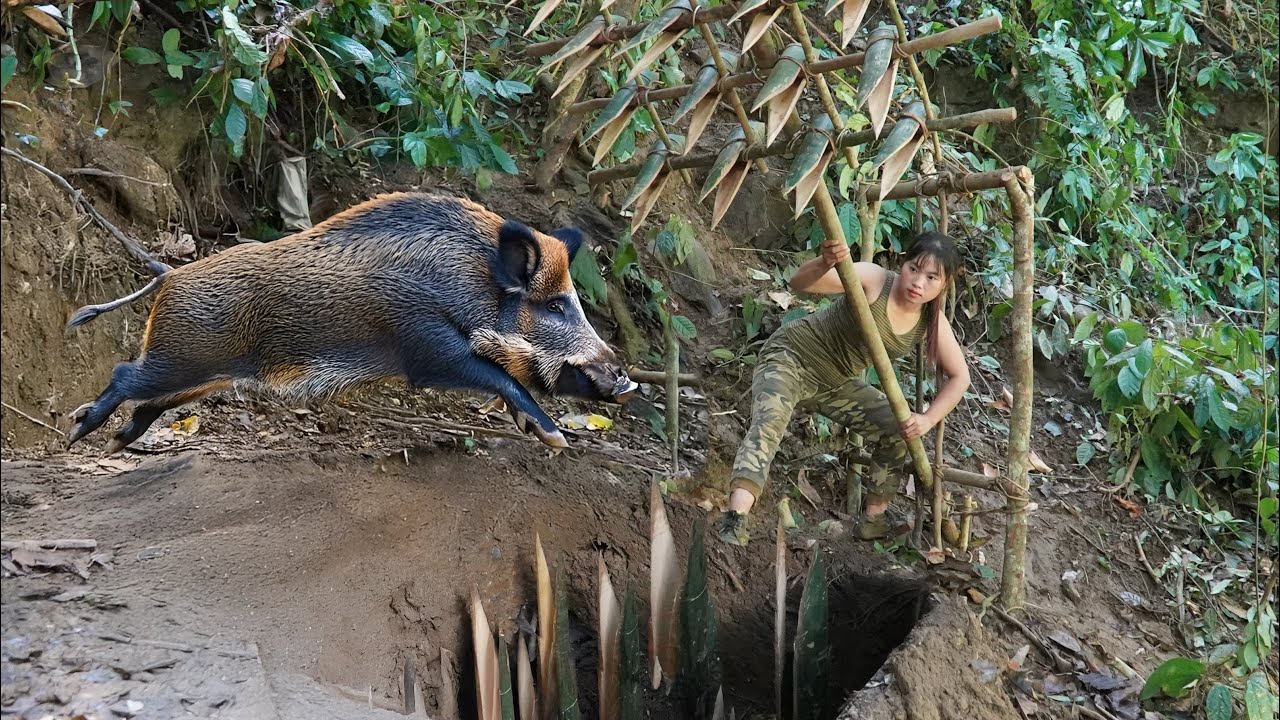 Building bamboo shelter, skills catching wild boars, living in the green forest, wild survival alone