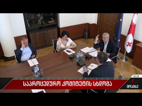 საპროცედურო კომიტეტის სხდომა