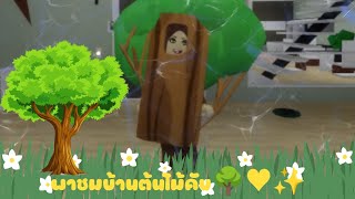 พาชมบ้านต้นไม้ค่า🌳♥️✨