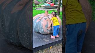 Afida lifting a pumpkin #trendingshorts