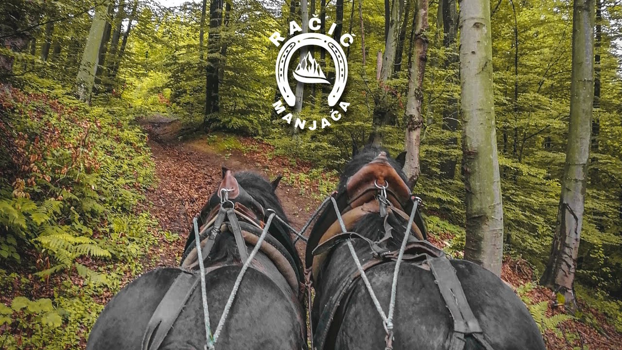 Vožnja mrkim doratovima kroz prirodu-(Rubin i Jadran)