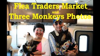 Flea Market and MONKEYS!