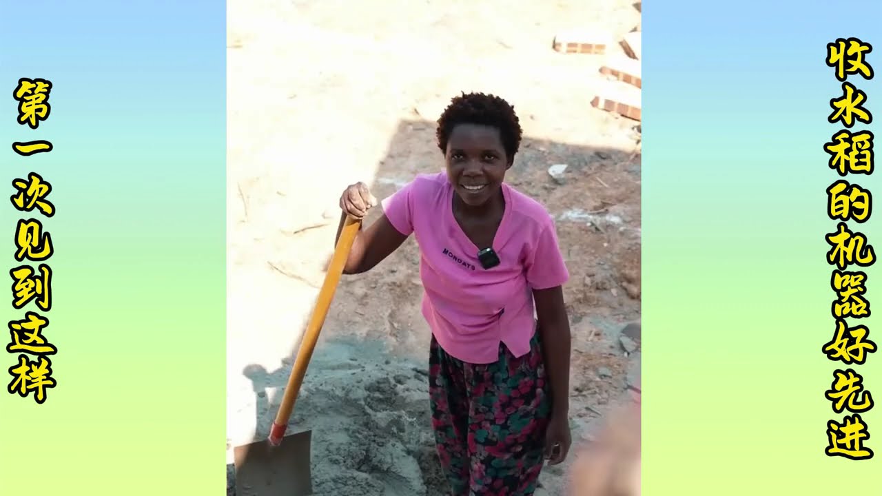 It's the first time I've seen a rice harvesting machine like this. It's so advanced.|第一次遇到这样收水稻机器好先进