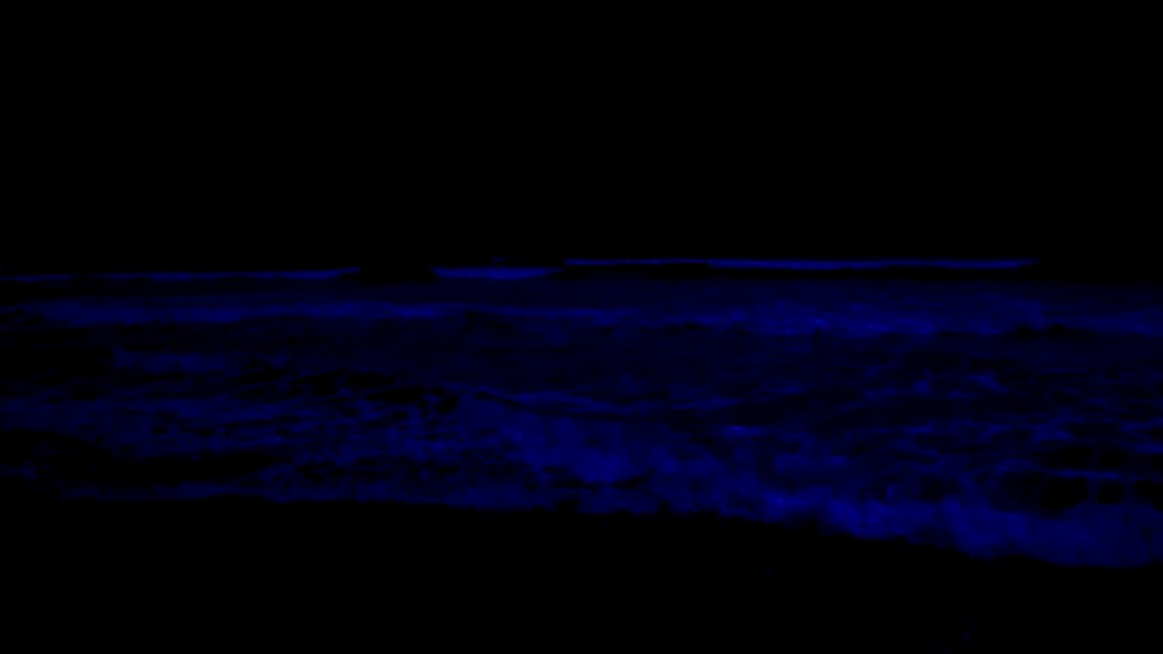 No Ads Deep Relaxation Music • Fall Asleep In 3 Minutes With Soothing Ocean Waves Rolling All Night