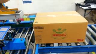 carton / outer box coder by MiniKey TIJ inkjet printer | HP 1918 black ink