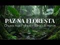 CHUVA NA FLORESTA ⛈️ 48Hz • Estudo e Sono Profundo (8 Horas)