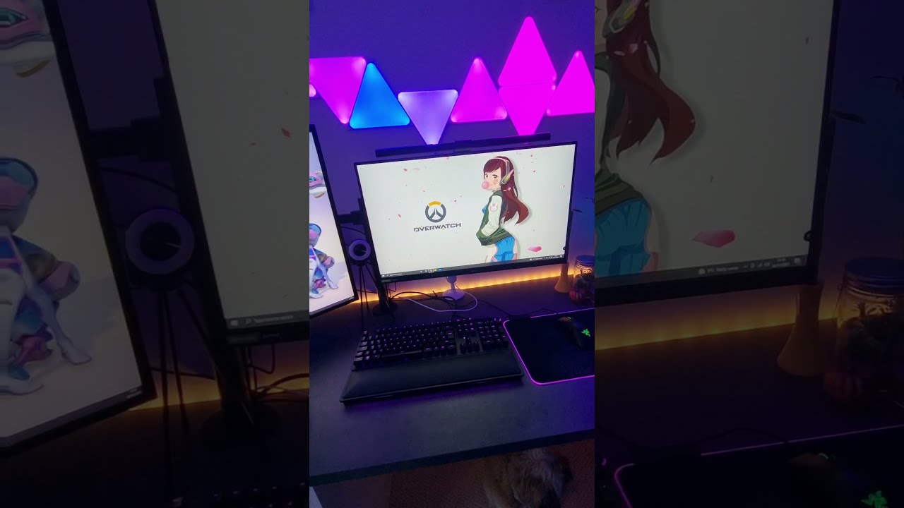 BenQ ScreenBar Unboxing 
