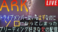 にゃんこちゃんねる Youtube