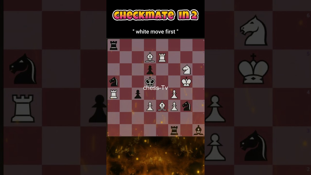 CHECKMATE IN 2 !! 