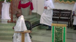 Misa en Vivo: Solemnidad de la Santísima Trinidad | Ascension Catholic Church LA