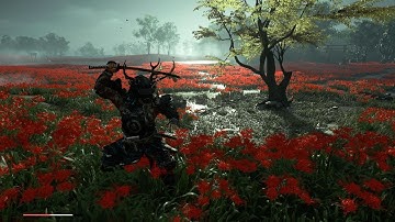 Ghost of Tsushima lethal difficulty ronin slaughter no stealth,pure samurai combat 4K HDR 60FPS