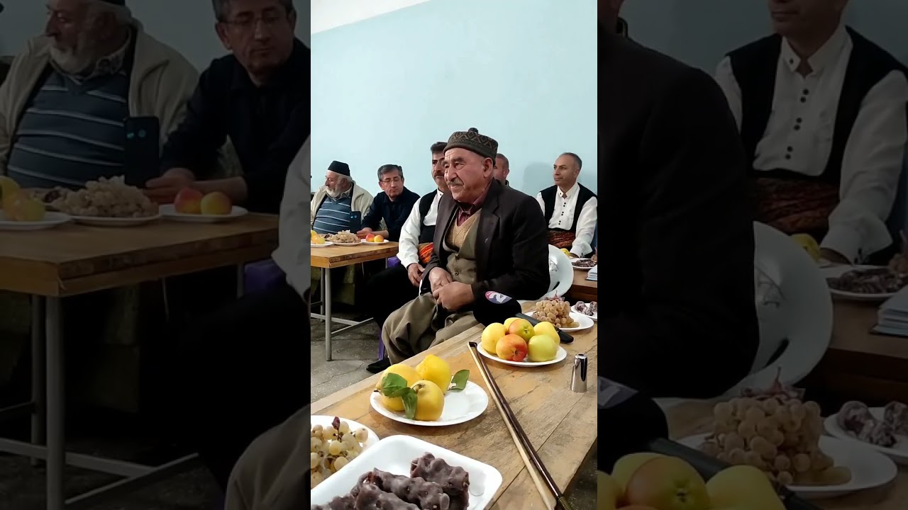 Şüşnazlı Beyaz Fethi- Karşıya Kar taneler