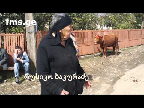 \"ახალგაზრდა რეპორტიორი\" -   დაზიანებული ცენტრალური გზა ნასაკირალში